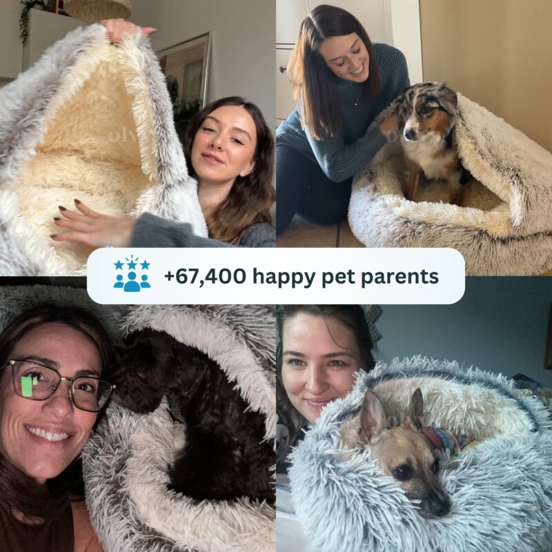 Cama Antiestrés para Mascotas - Image 10